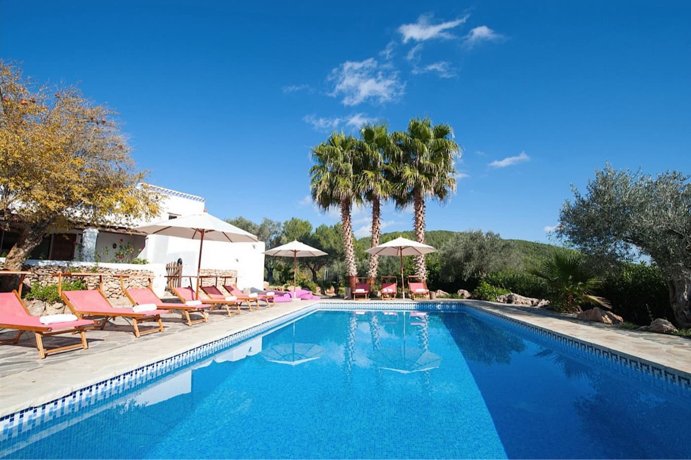 Villa Aguila — luxury villa photo 3