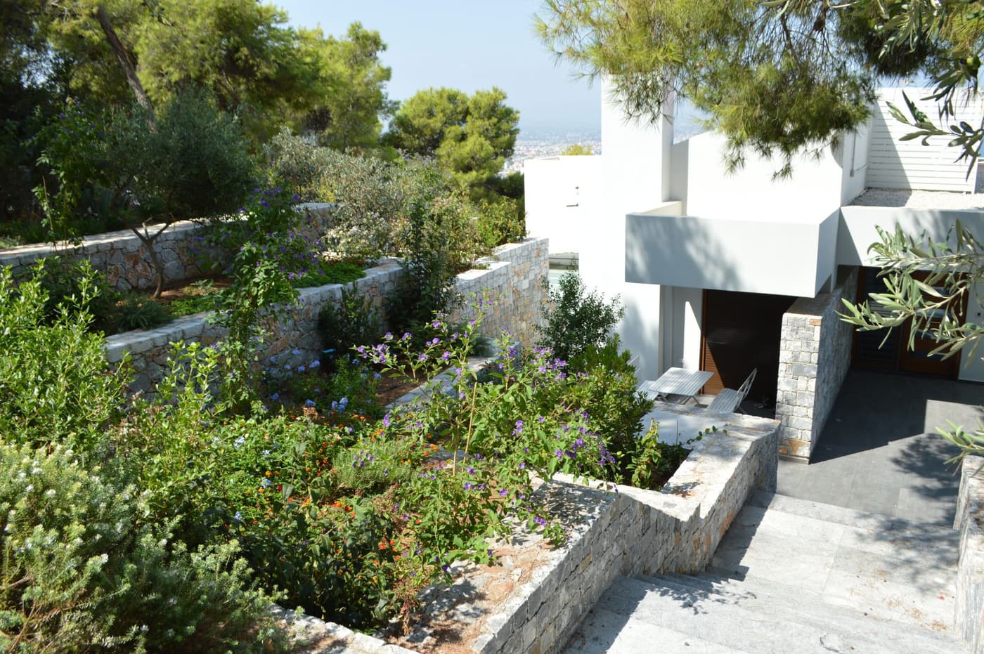 Villa Terra Creta — luxury villa photo 85