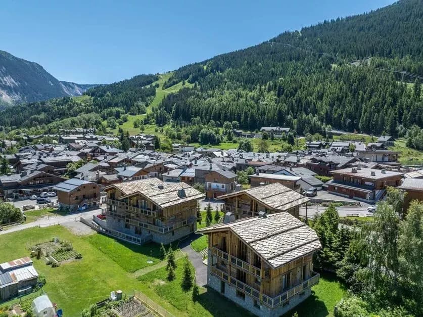 Chalet Bois de L Abbaye — luxury villa photo 2