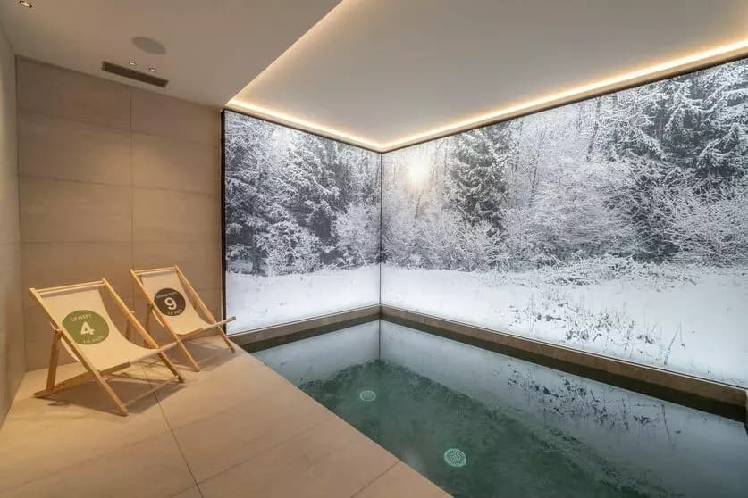 Chalet Bois de L Abbaye — luxury villa photo 27