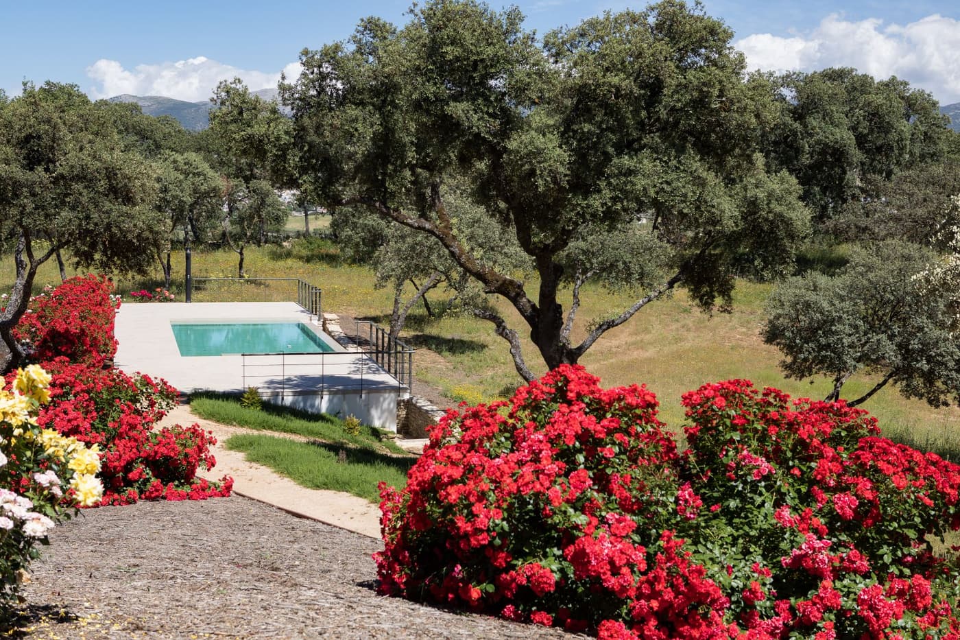 Villa Caldera — luxury villa photo 16