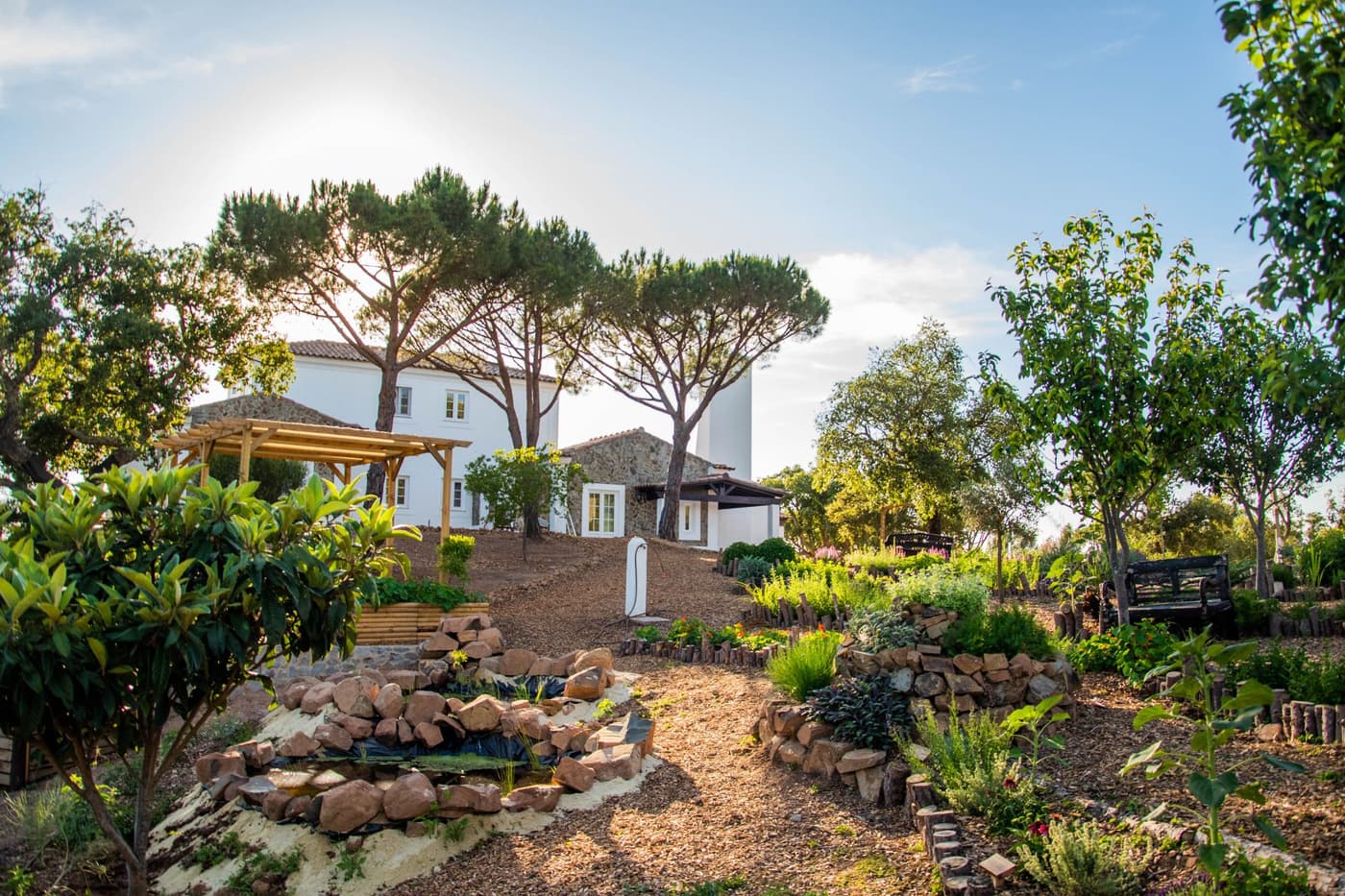 Casa Pinhal — luxury villa photo 49
