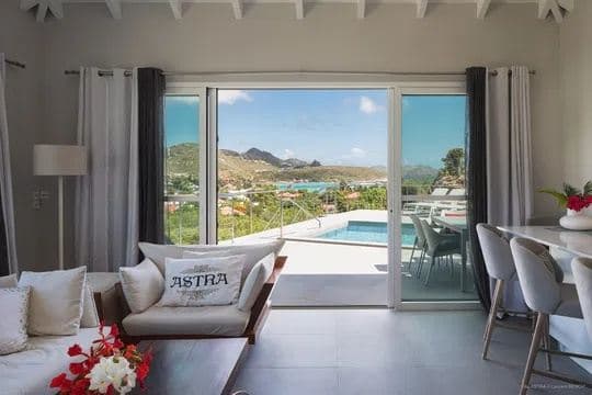 Astra Estate — luxury villa photo 3