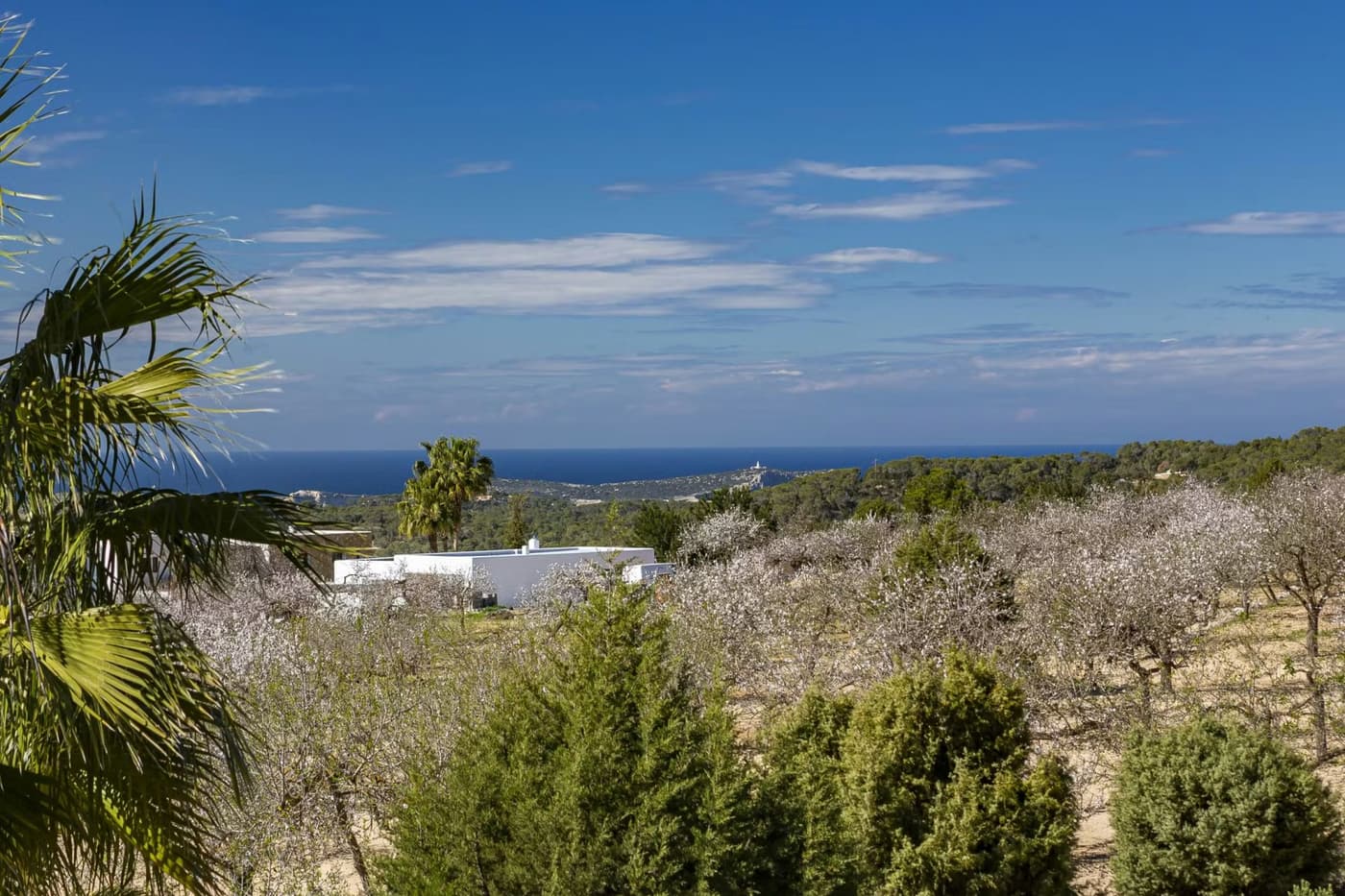 Villa Sa Gaia — luxury villa photo 3