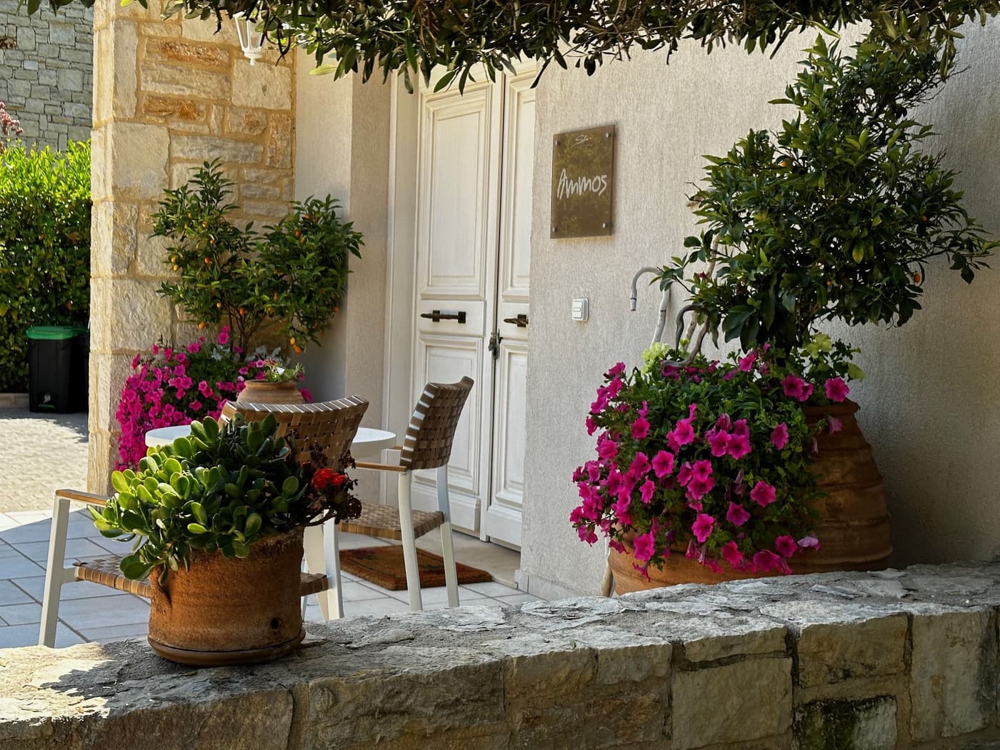 Ammos Villa — luxury villa photo 48