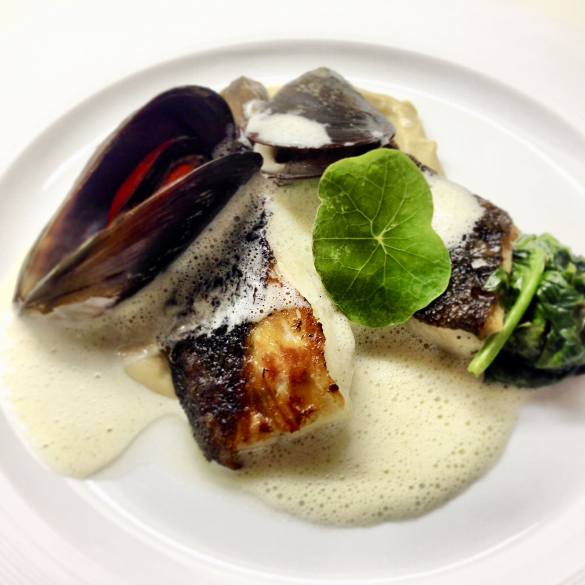 Black cod, spring broccoli, mussel and saffron foam sauce