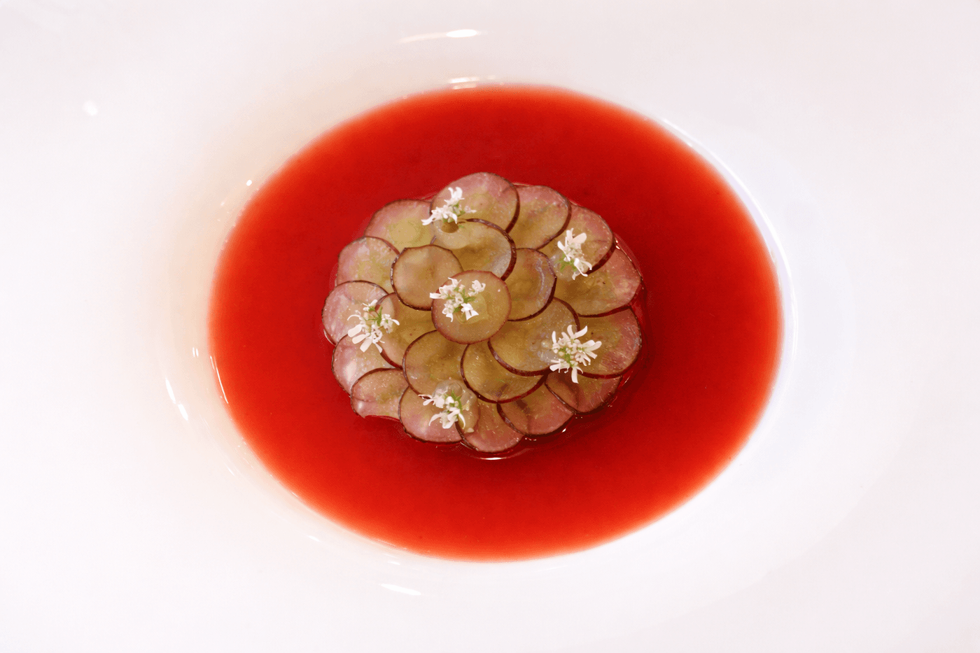 Culinary portfolio — photo 18
