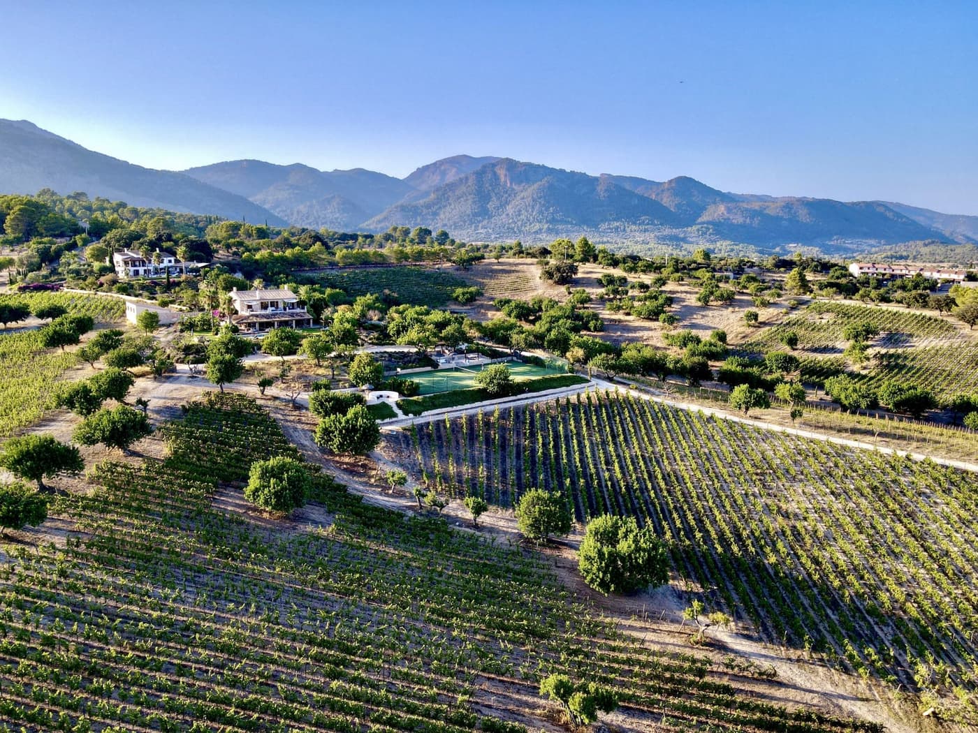 Can Goyo and Can Gabriela — luxury villa photo 63