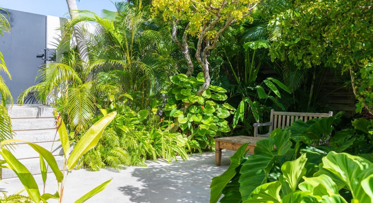 Villa Bonbonniere — luxury villa photo 23