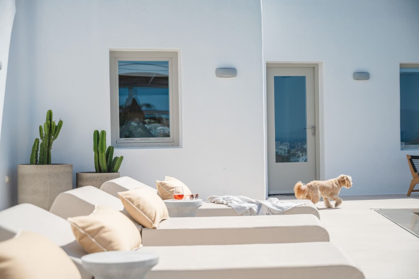 Villa Delta — luxury villa photo 2