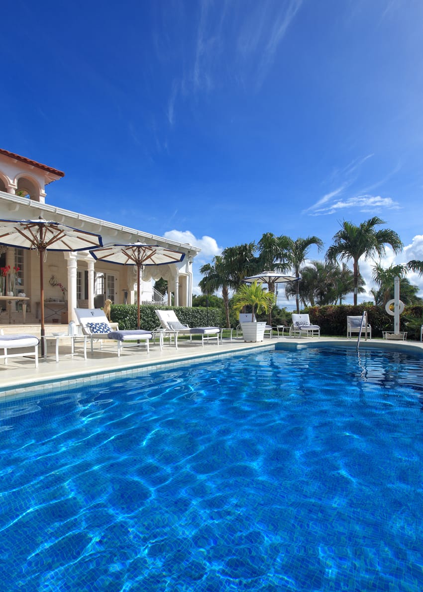 The Monkey Puzzle Villa - Image 1