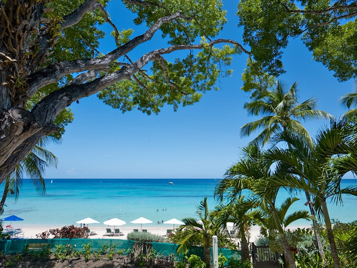 Coral Cove 5 — luxury villa photo 12