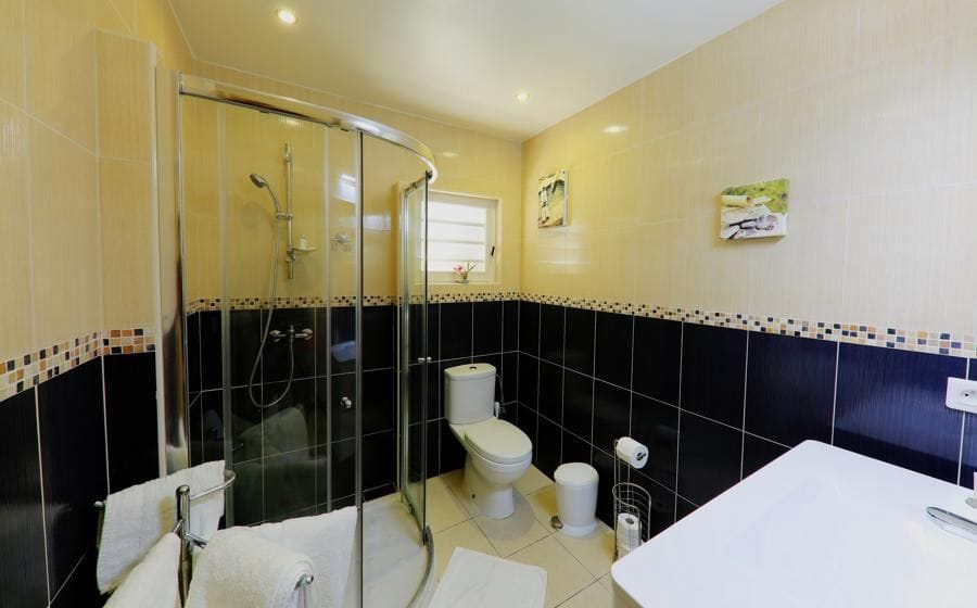 Villa Raisiniers — luxury villa photo 1
