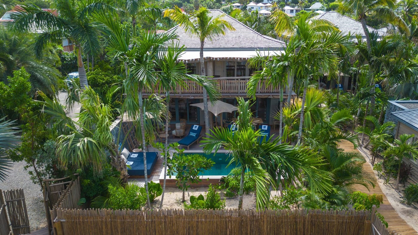 Coco Mango - Image 1