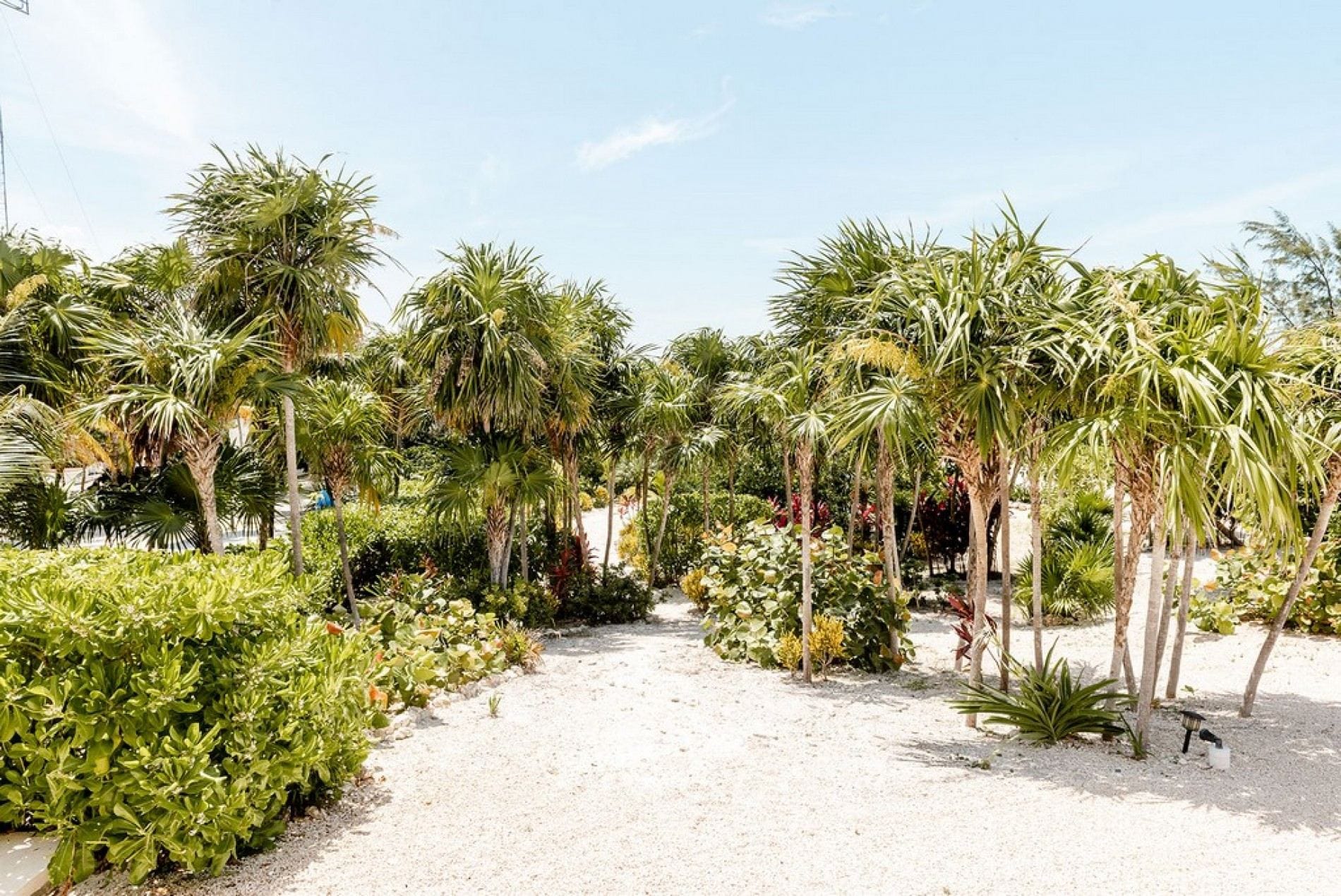 Blanca Beach House — luxury villa photo 35