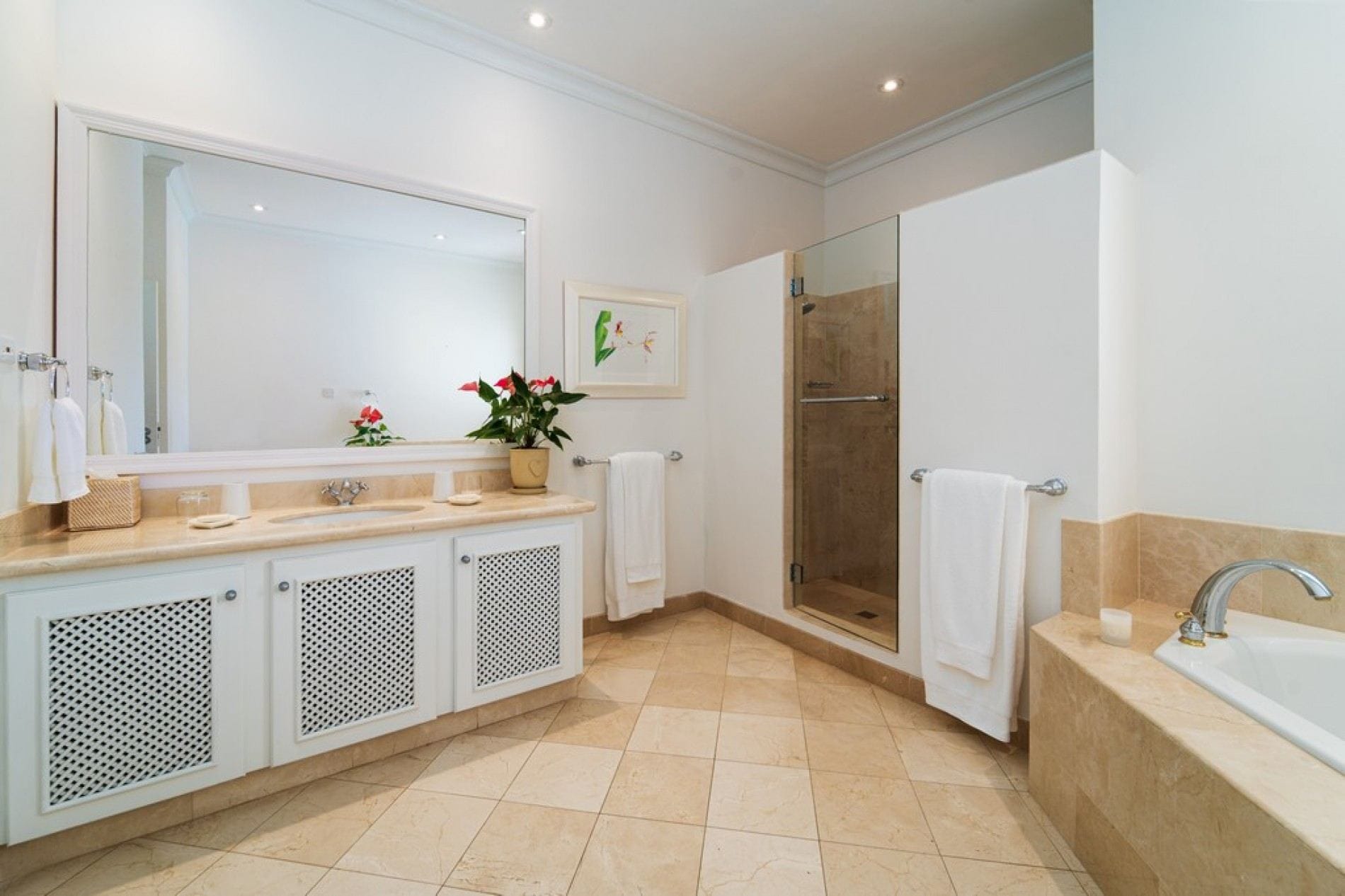 Sugar Hill - Jade Vine — luxury villa photo 2