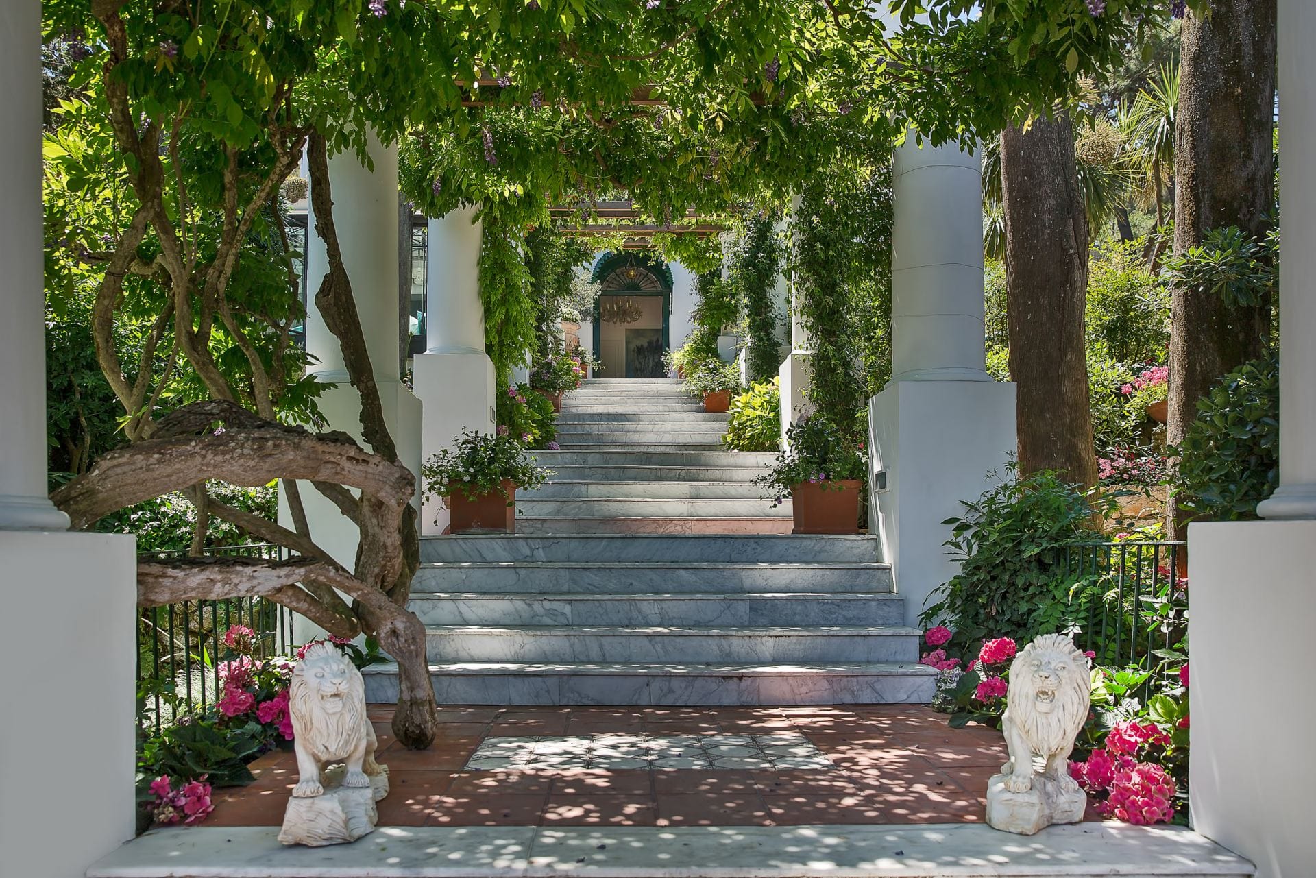 Villa Aurora — luxury villa photo 1