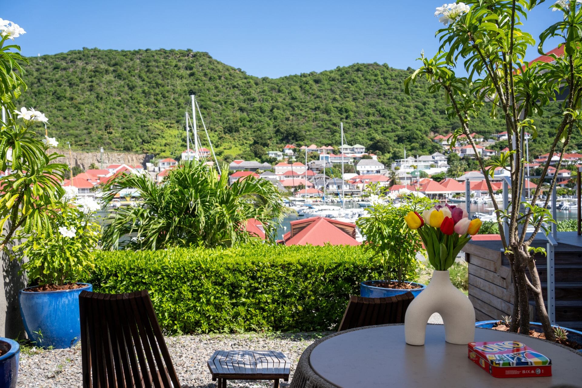 La Maison Bleue — luxury villa photo 1