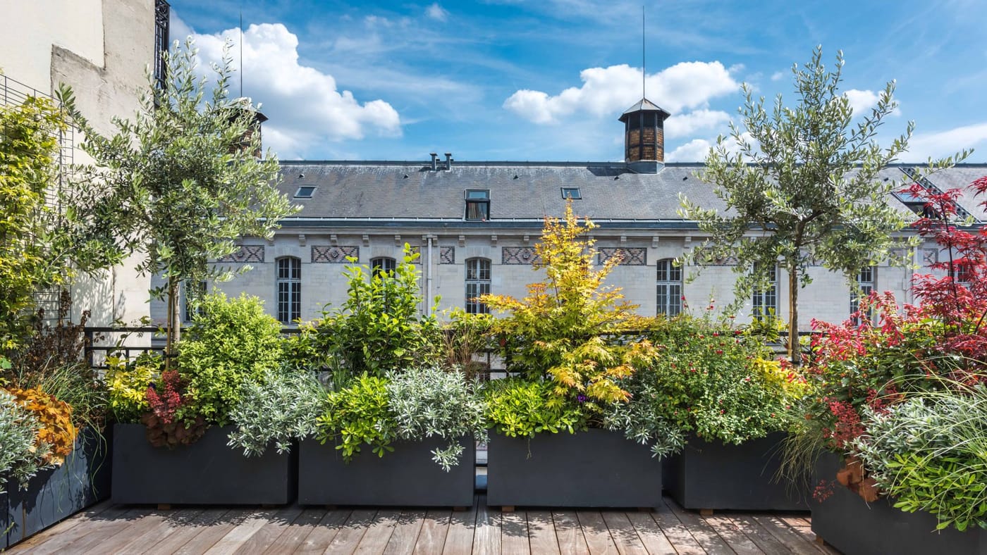 Maison Montespan - Image 1