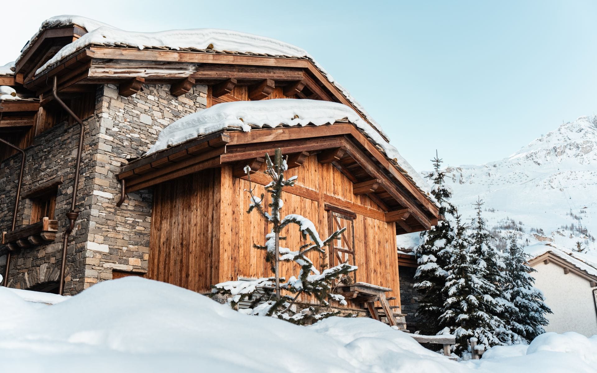 Chalet Chene — luxury villa photo 45