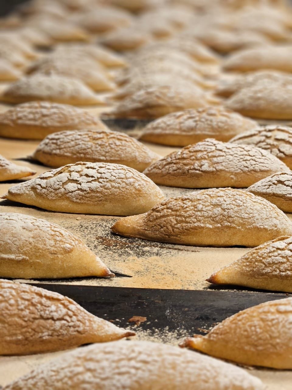 Culinary portfolio — photo 1