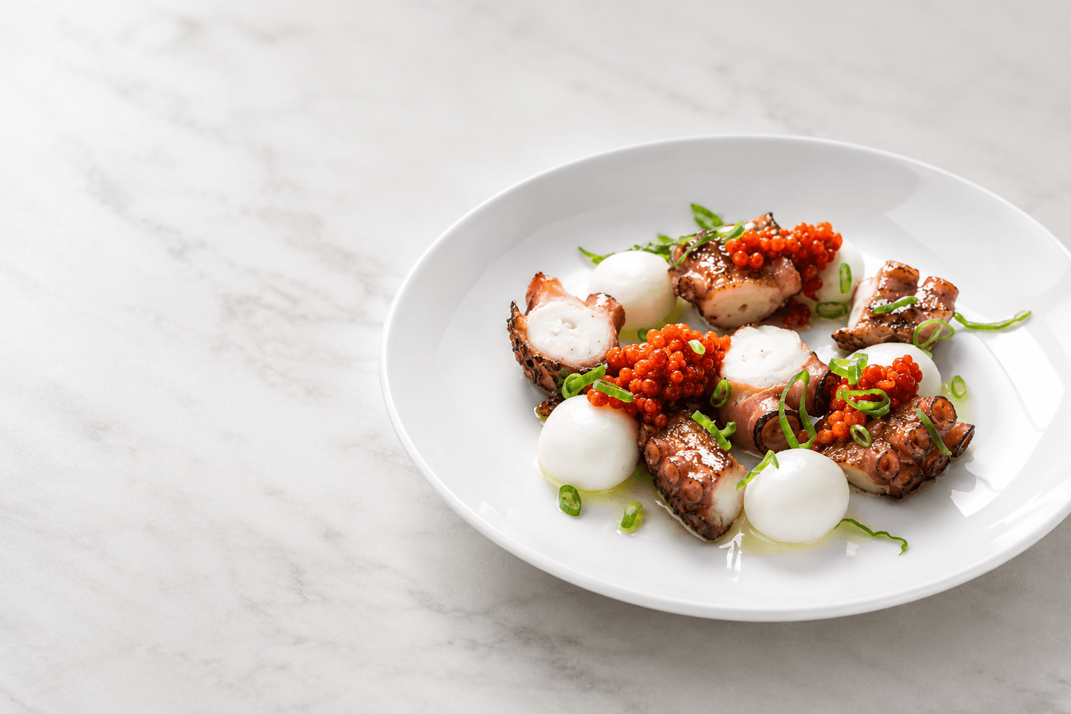 Menu showcase — photo 4