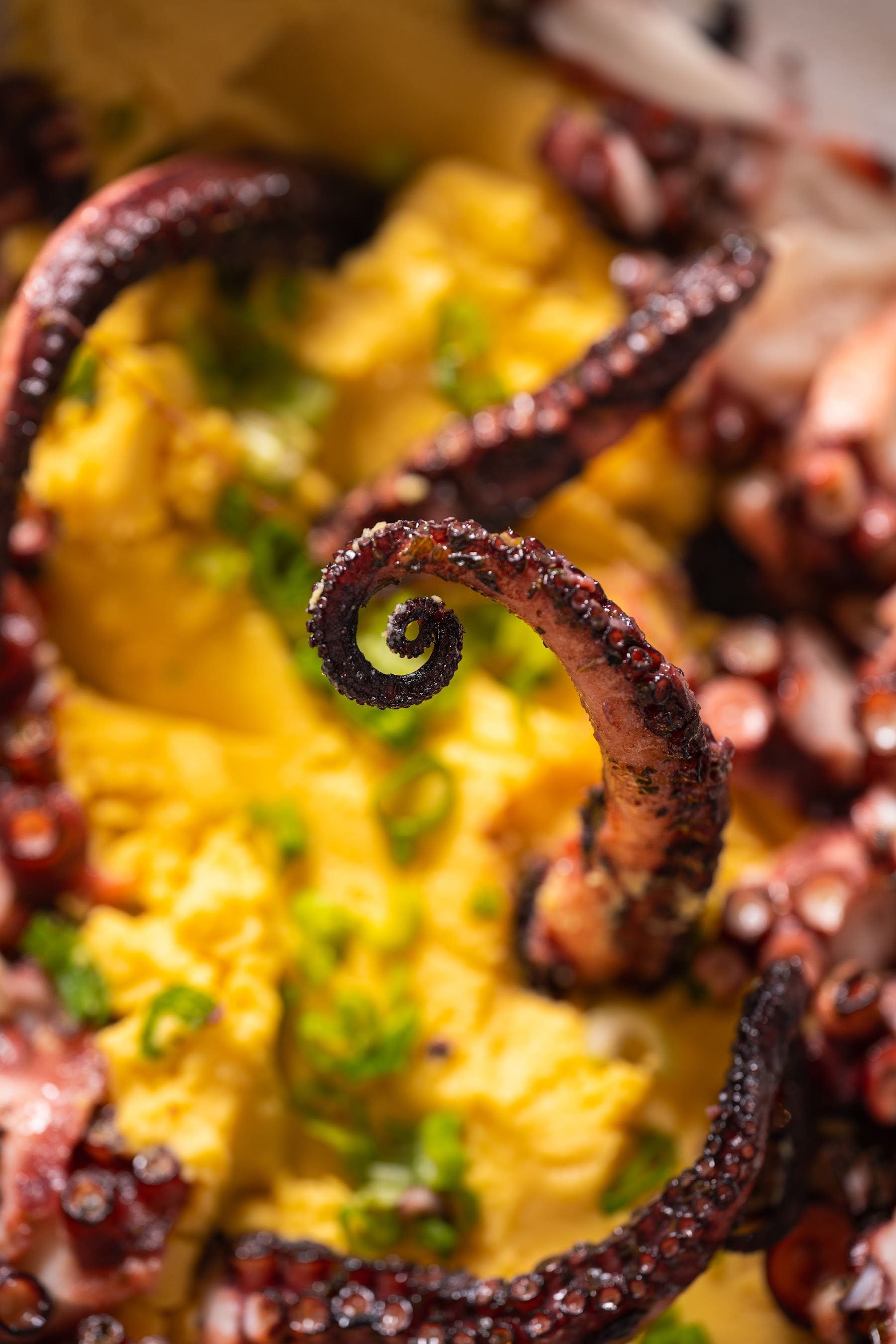 Grilled octopus over saffron mash