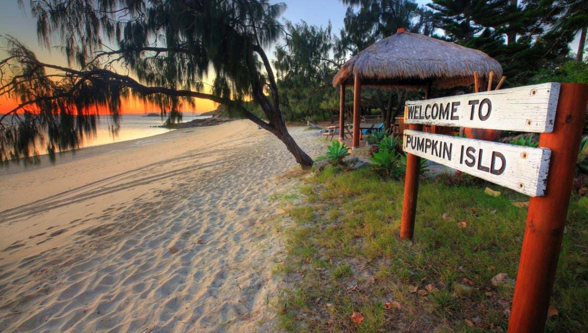 Pumpkin Island - Image 1