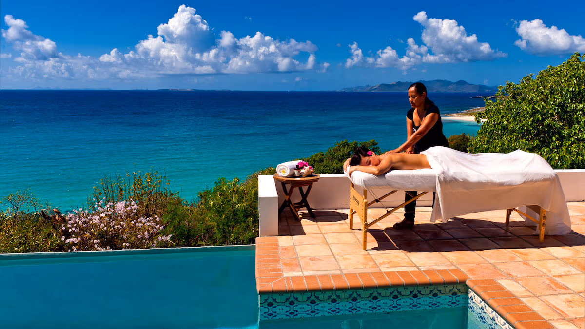 Zenaida Estate — luxury villa photo 1