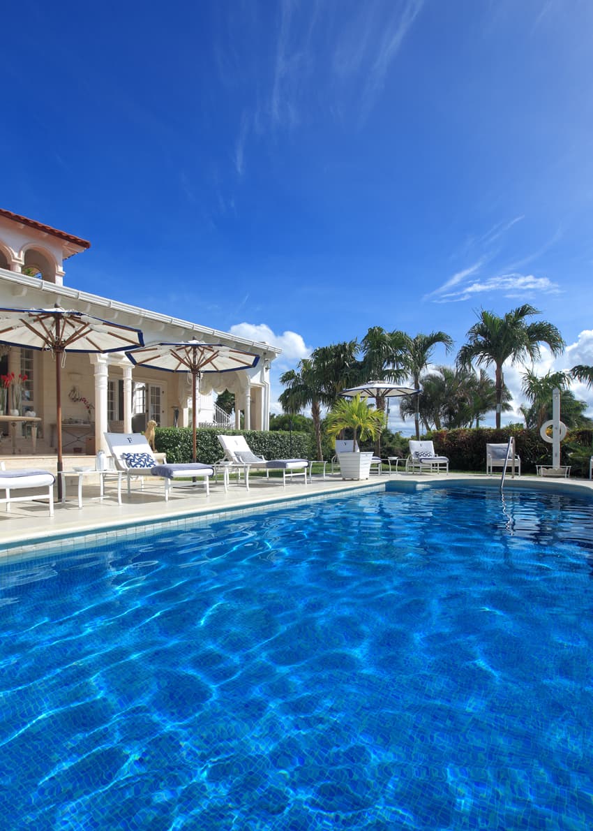 The Monkey Puzzle Villa — luxury villa photo 1