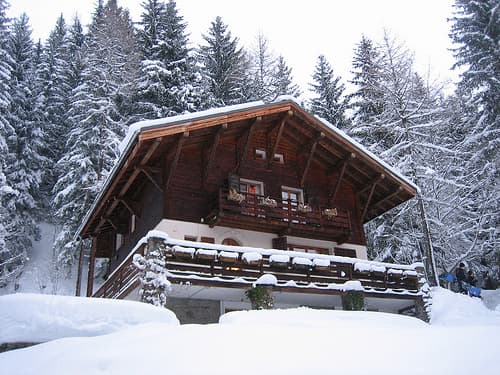 Marmotte Mountain Forest Lodge — luxury villa photo 1