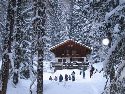 Marmotte Mountain Forest Lodge — luxury villa photo 3