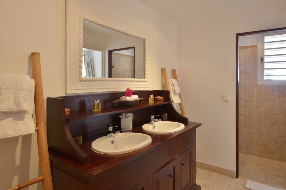 Villa Petit Saint Louis — luxury villa photo 3