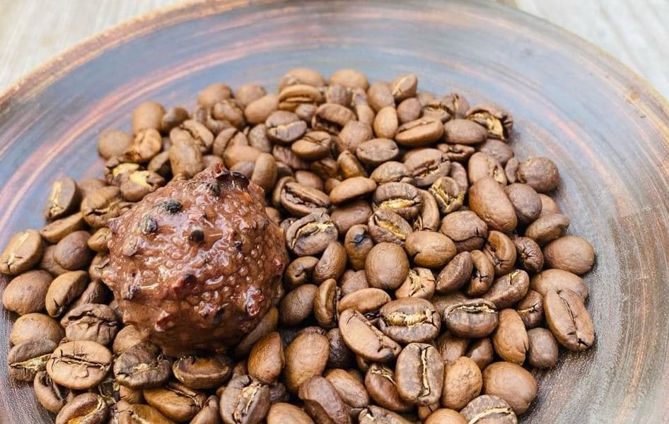 Cappuccino Bonbon