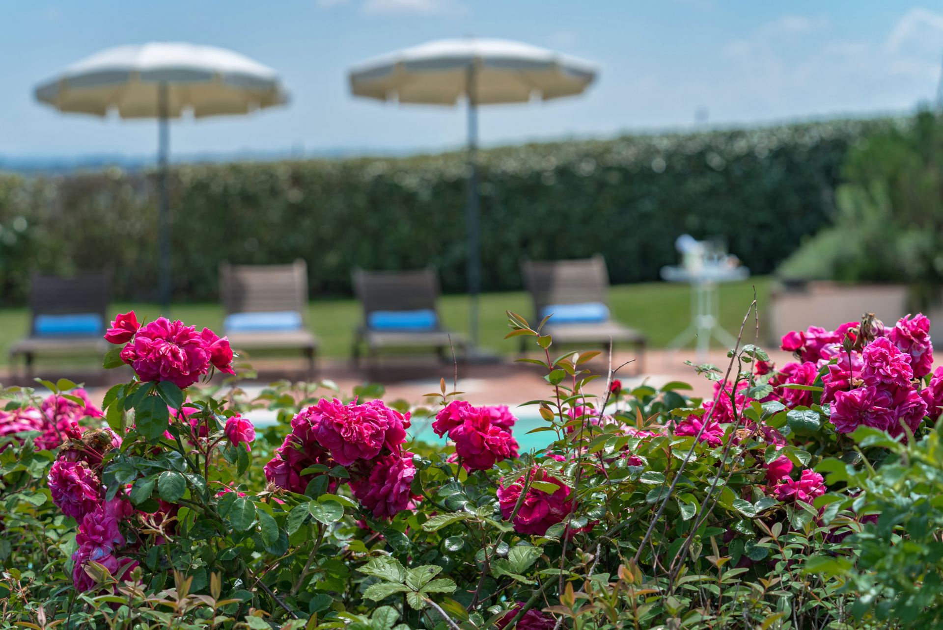 Villa De’ Michelangioli