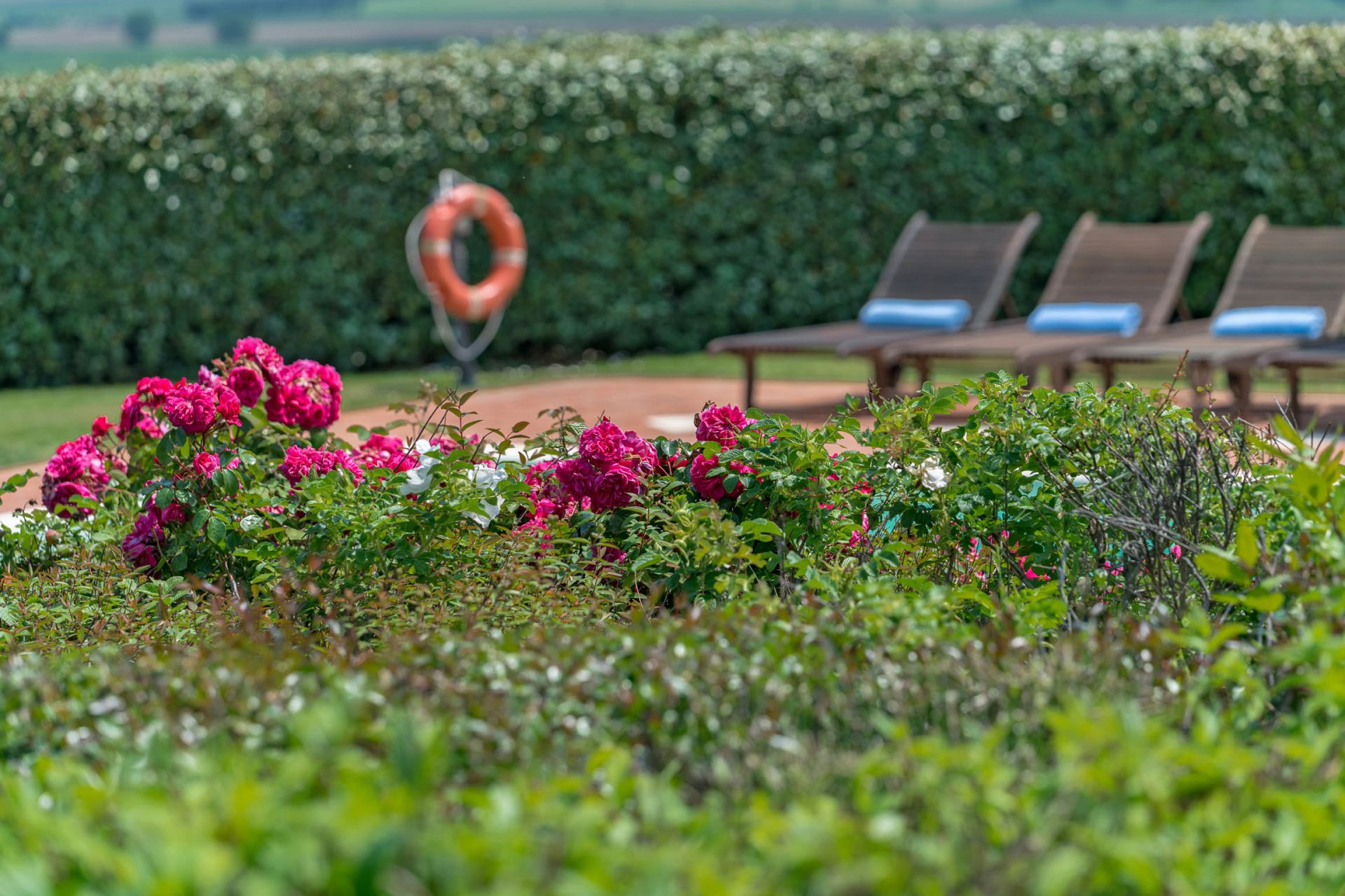 Villa De’ Michelangioli