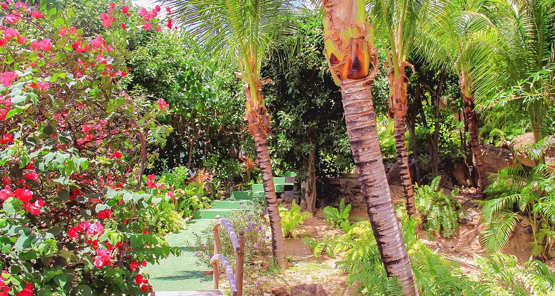 Villa Habitation Saint Louis