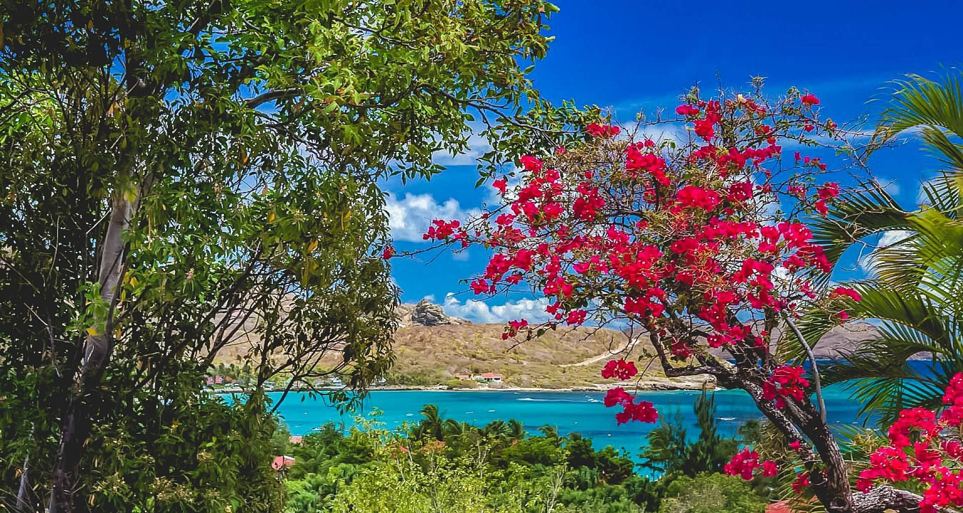 Villa Style and St. Barth