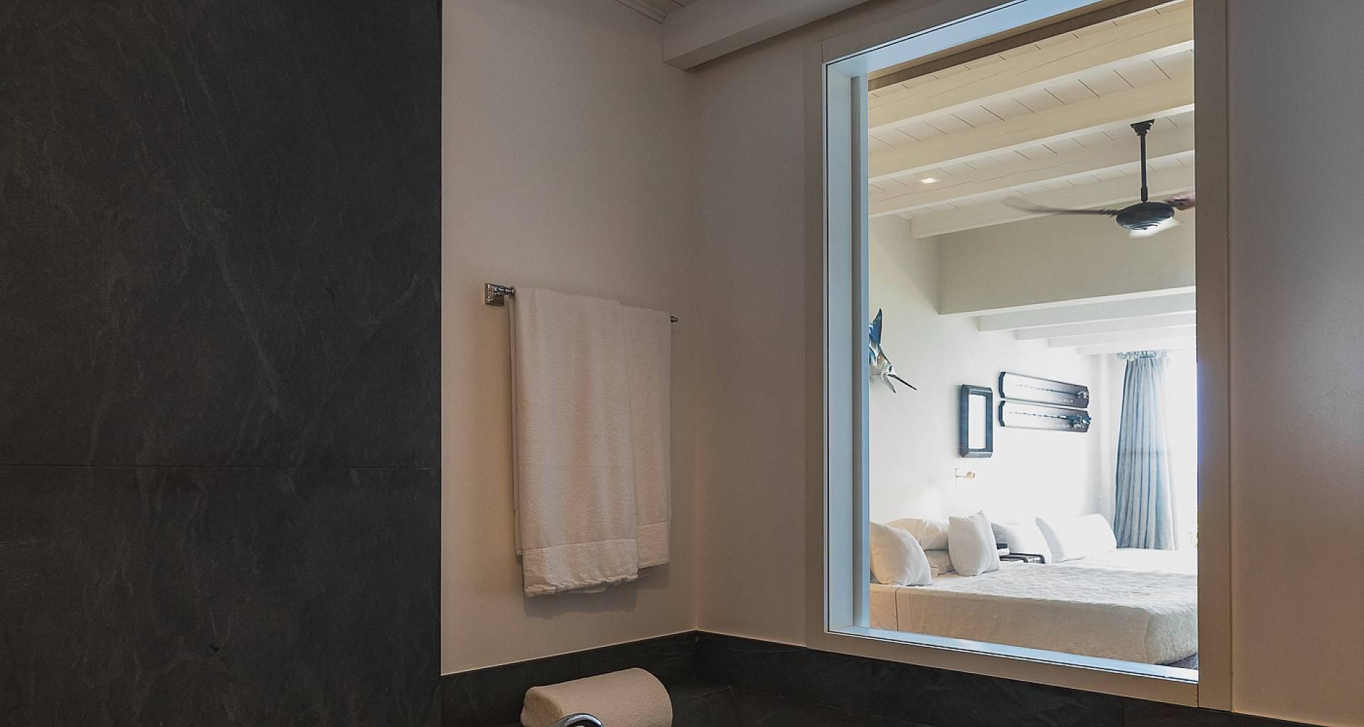 Villa Les Lataniers-Anse des Lézards