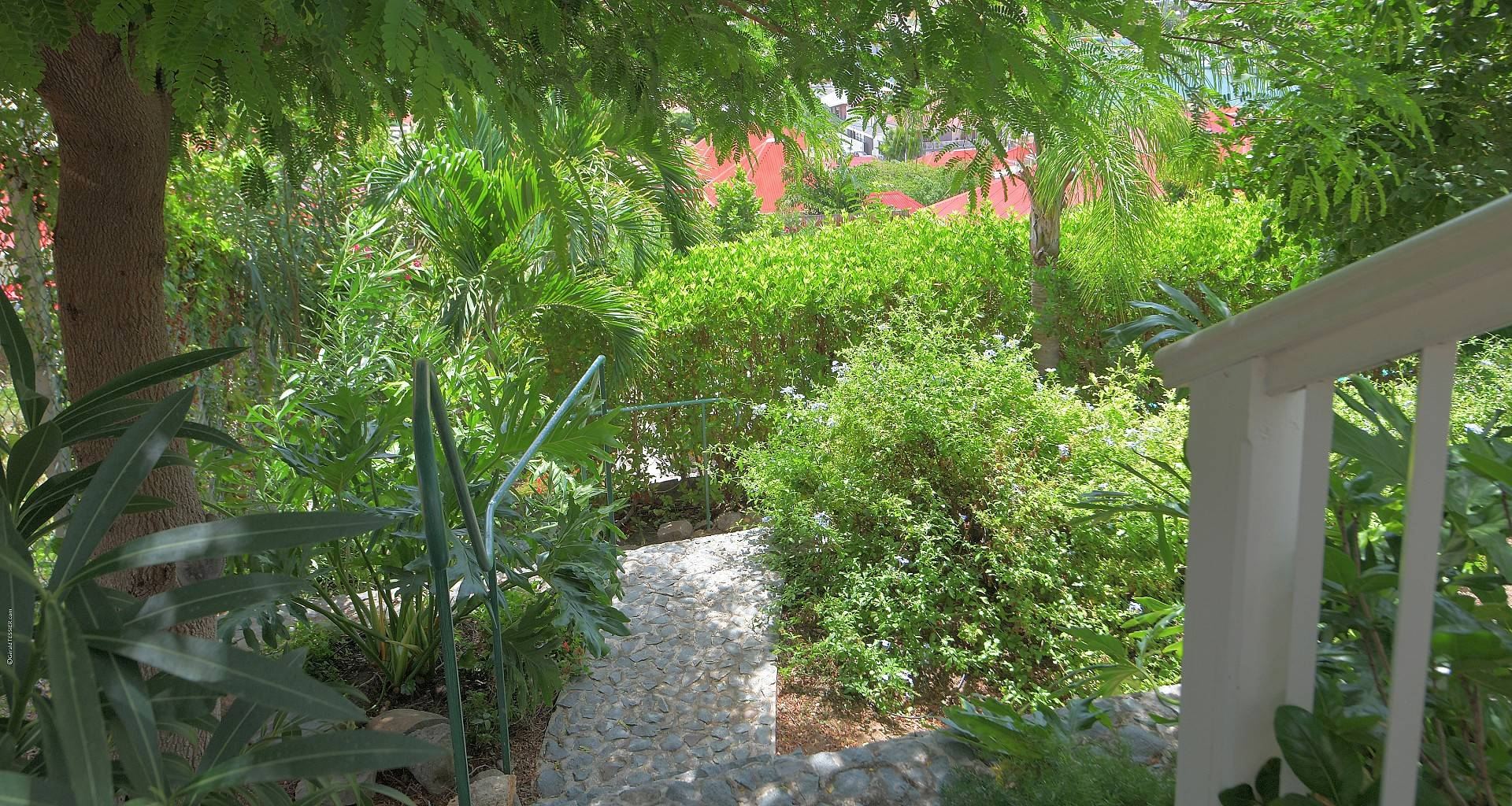 Villa Gustavia Views