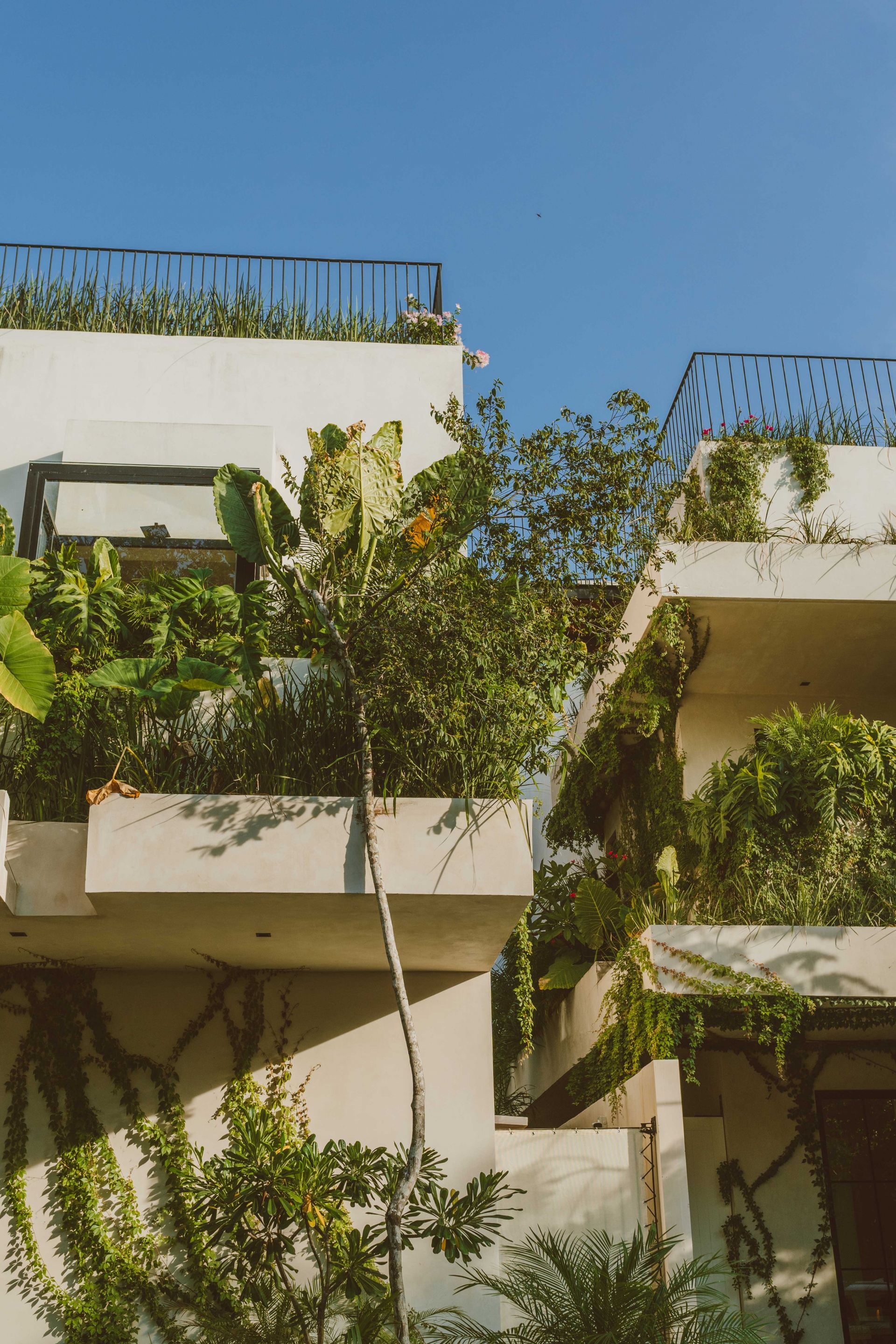 Villa Imperia - Aldea Zama