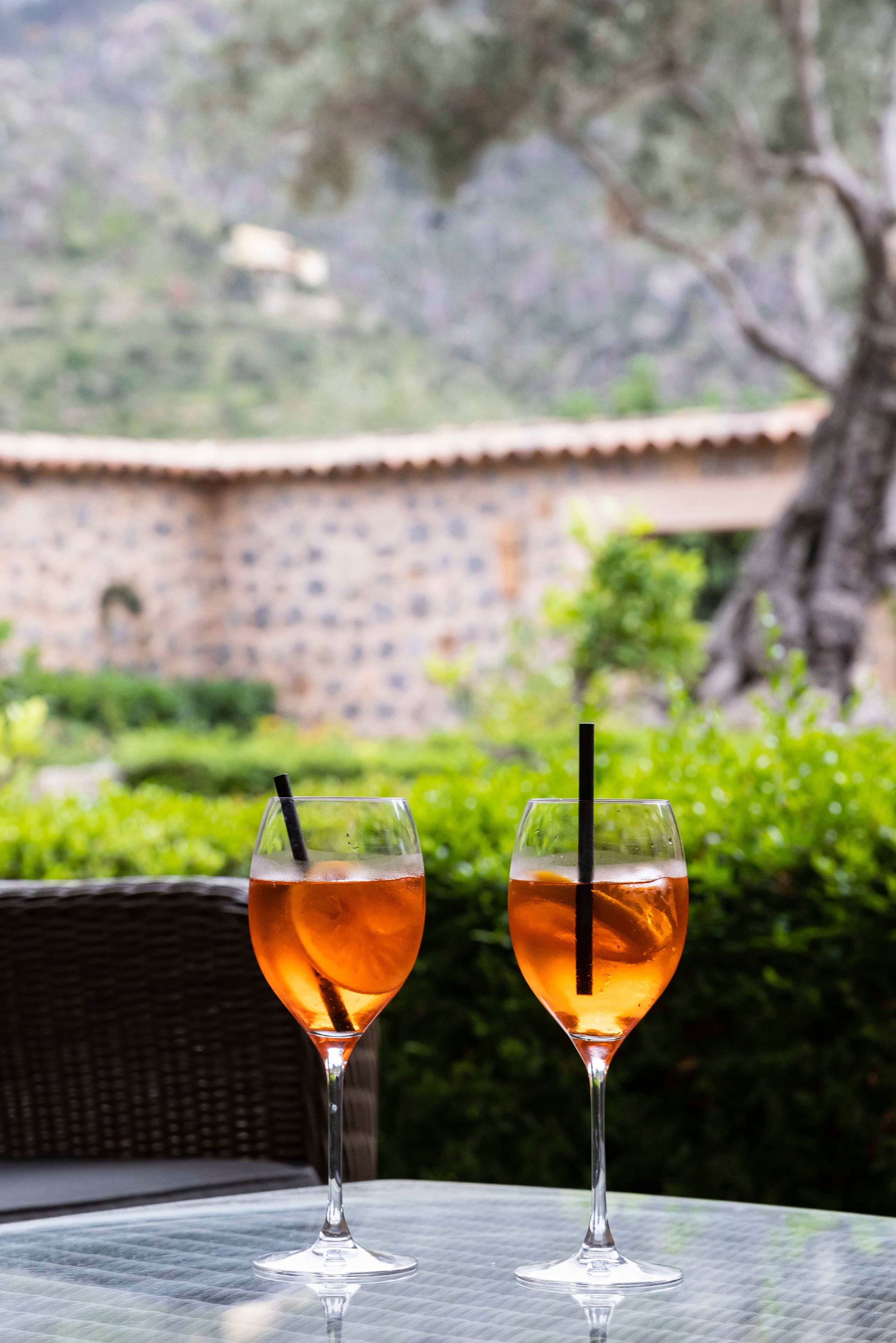 Villa Sa Terra Rotja