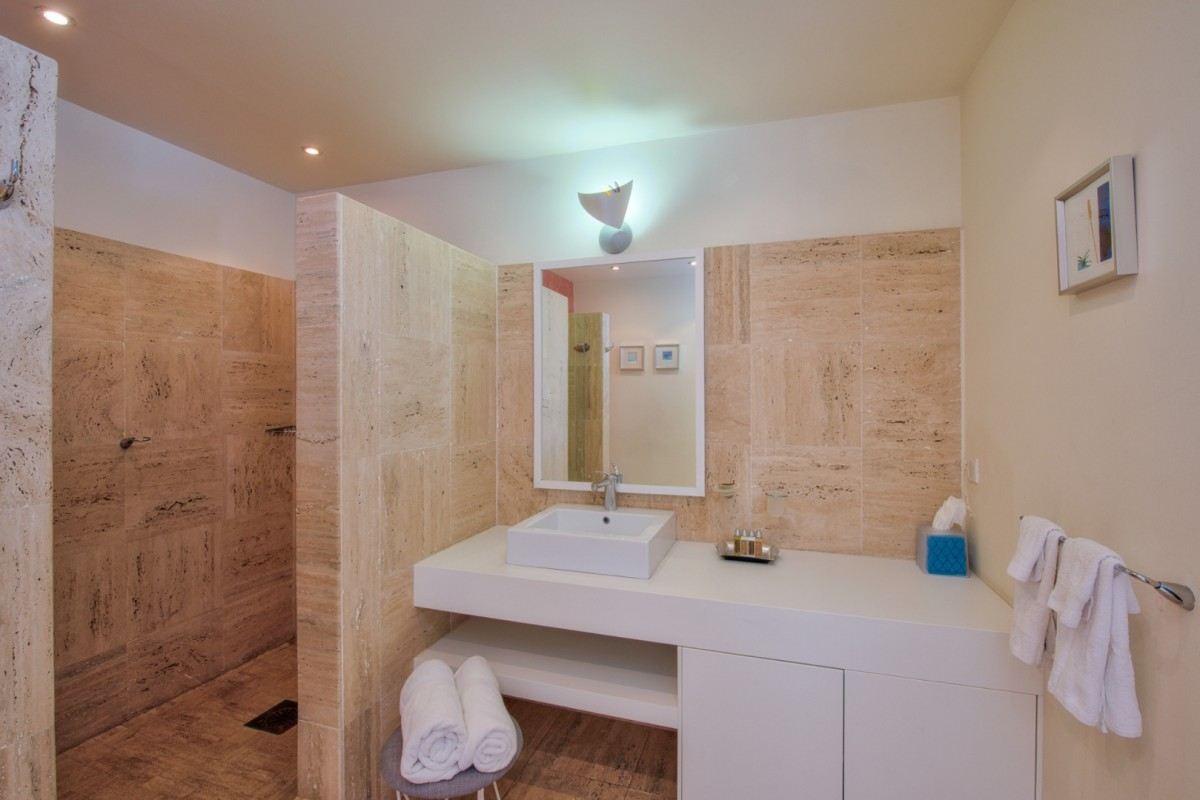 Villa Les Palmiers Bleus