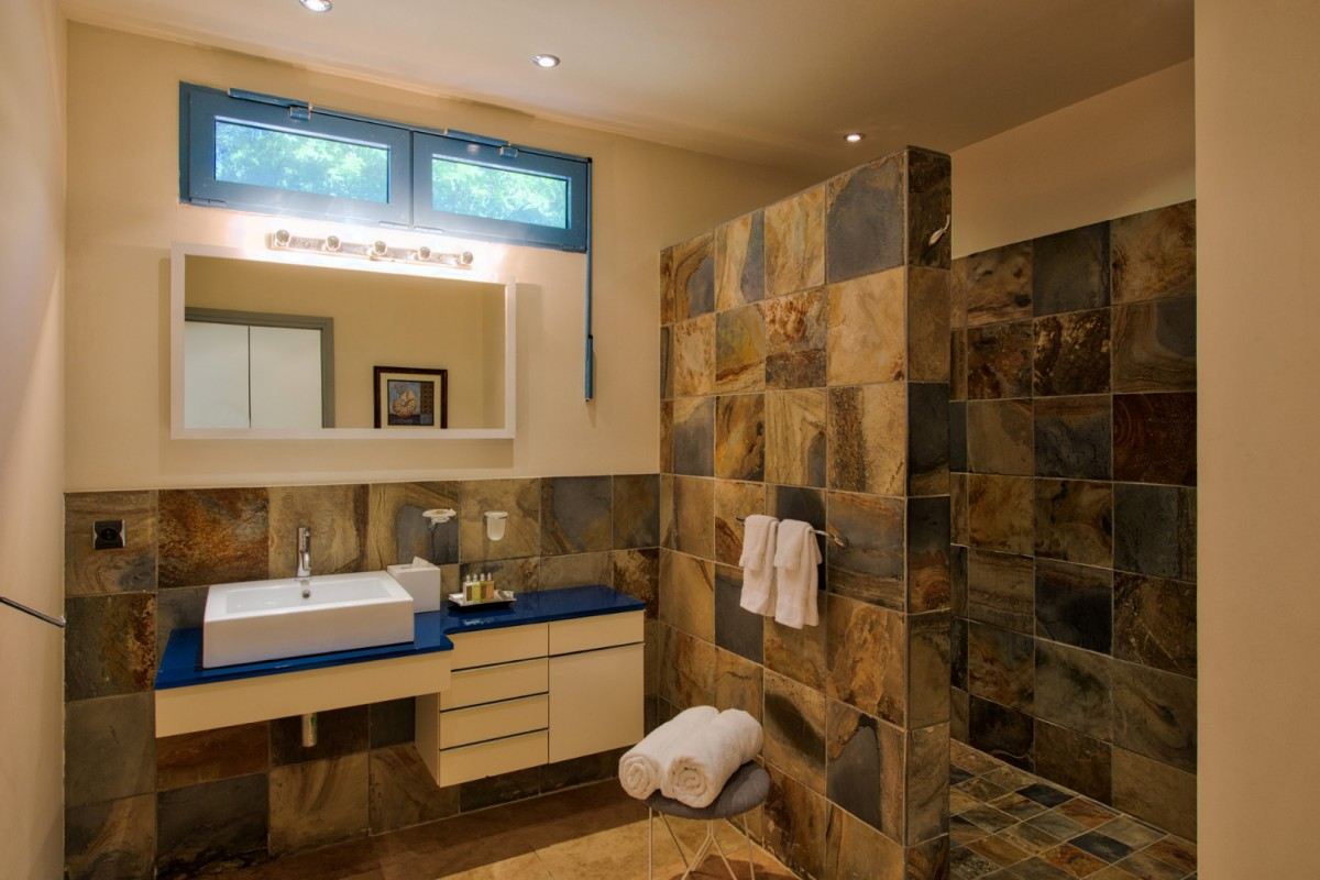 Villa Les Palmiers Bleus