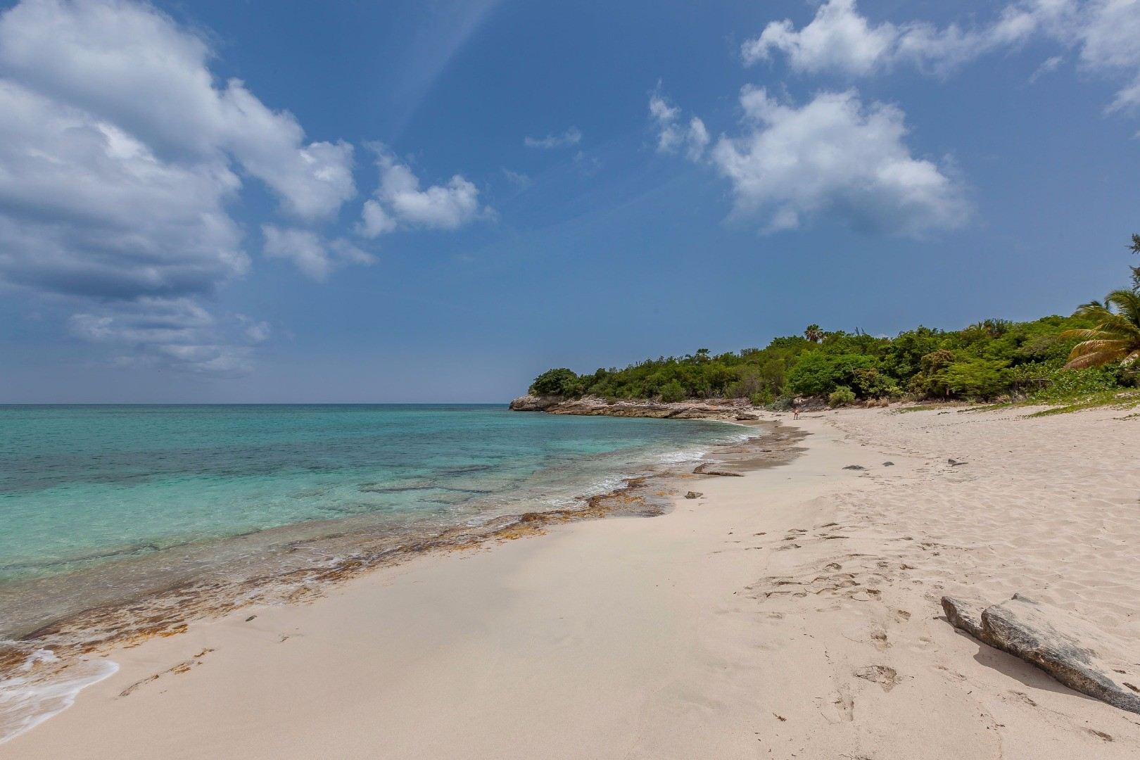 Villa Les Palmiers Bleus