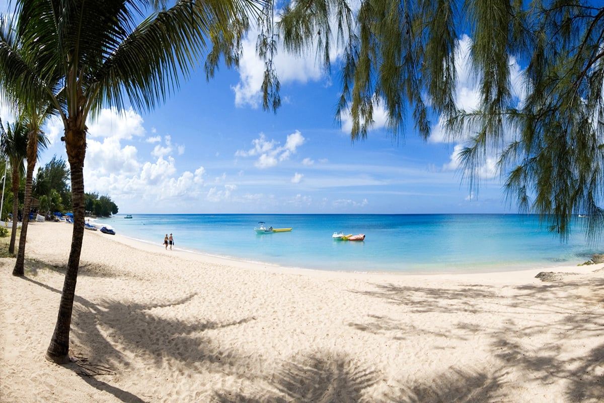 Beacon Hill 202 Moonshadow