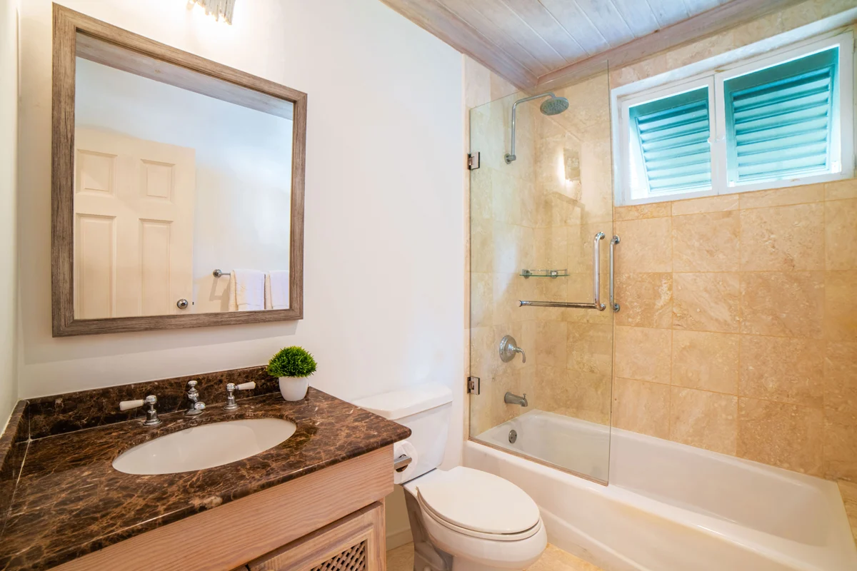 Beacon Hill 202 Moonshadow