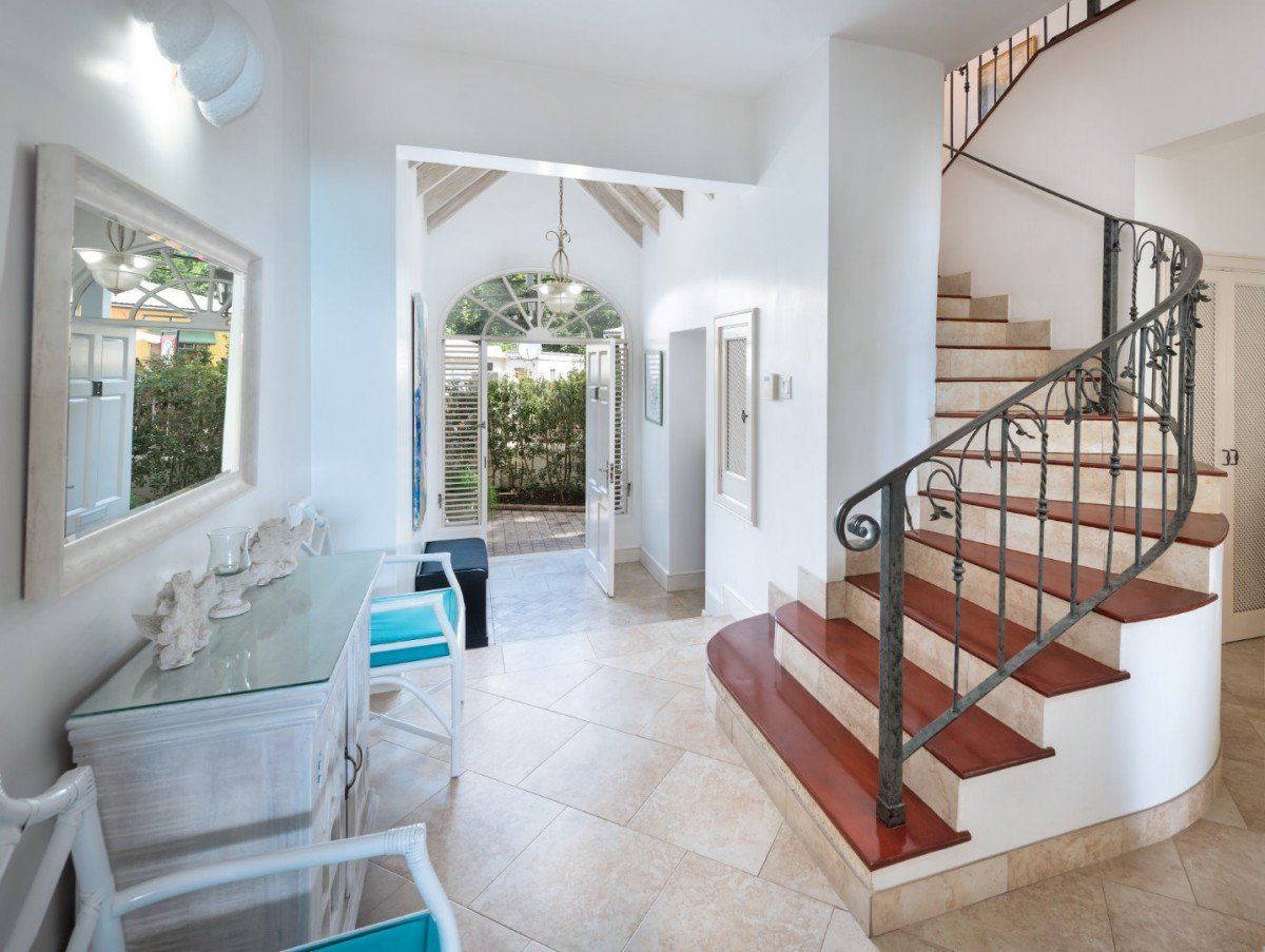 Mahogany Bay-Seashells