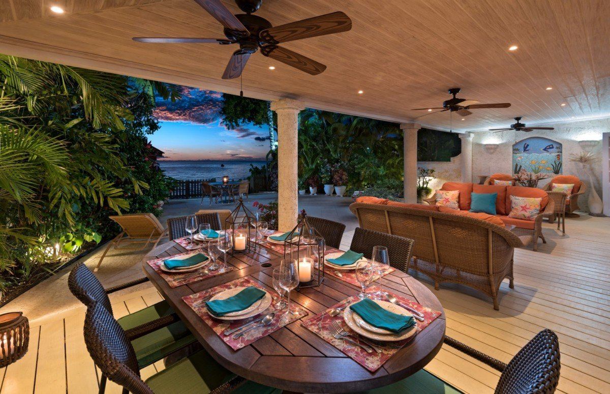 Mahogany Bay-Seashells