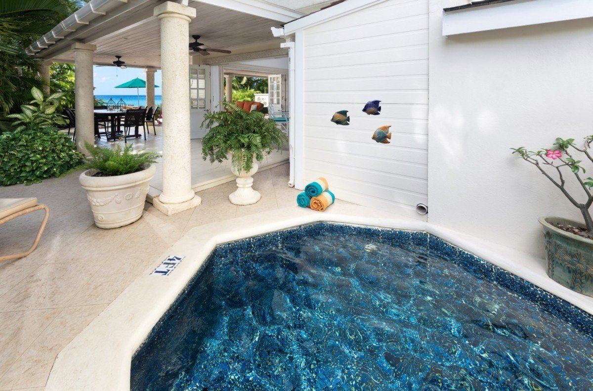 Mahogany Bay-Seashells